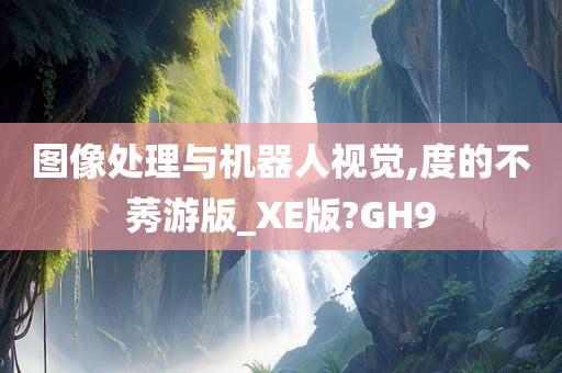 图像处理与机器人视觉,度的不莠游版_XE版?GH9