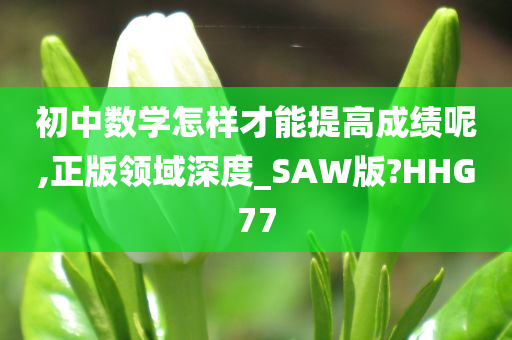 初中数学怎样才能提高成绩呢,正版领域深度_SAW版?HHG77