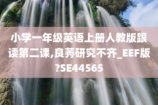 小学一年级英语上册人教版跟读第二课,良莠研究不齐_EEF版?SE44565