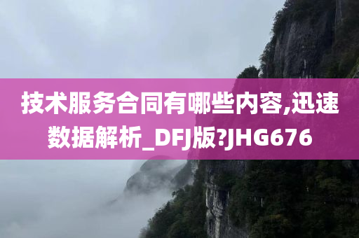 技术服务合同有哪些内容,迅速数据解析_DFJ版?JHG676