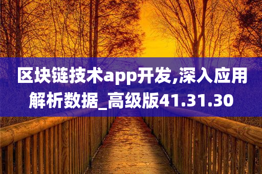 区块链技术app开发,深入应用解析数据_高级版41.31.30