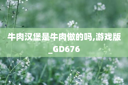 牛肉汉堡是牛肉做的吗,游戏版_GD676