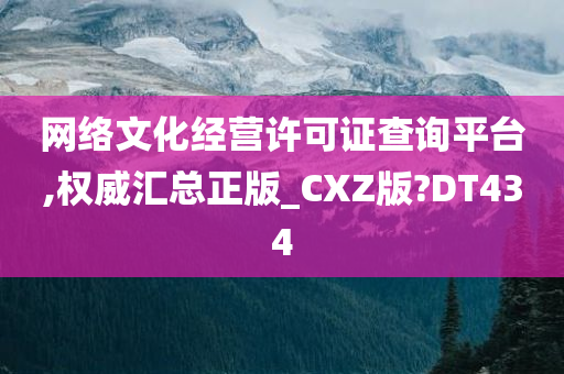 网络文化经营许可证查询平台,权威汇总正版_CXZ版?DT434