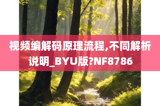 视频编解码原理流程,不同解析说明_BYU版?NF8786