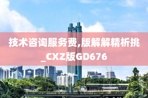 技术咨询服务费,版解解精析挑_CXZ版GD676