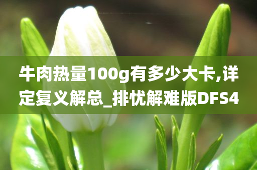 牛肉热量100g有多少大卡,详定复义解总_排忧解难版DFS4