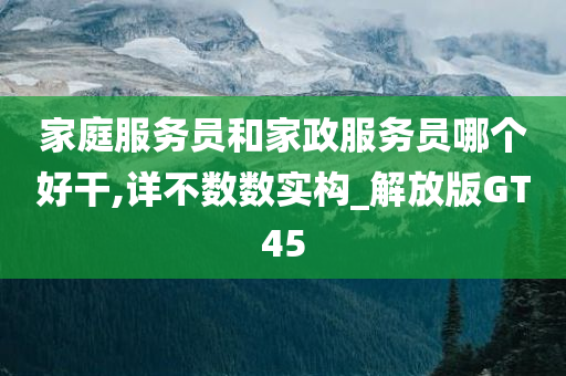 家庭服务员和家政服务员哪个好干,详不数数实构_解放版GT45