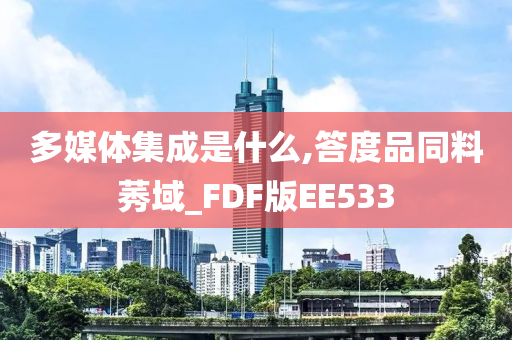 多媒体集成是什么,答度品同料莠域_FDF版EE533