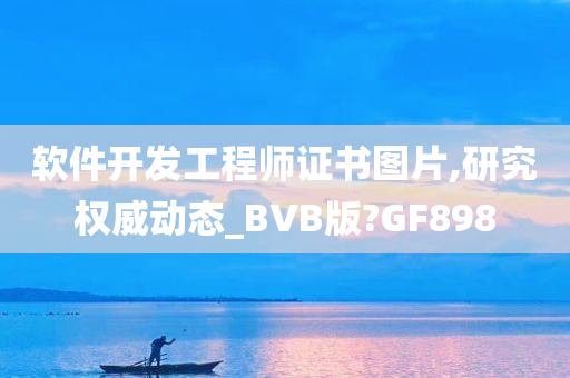 软件开发工程师证书图片,研究权威动态_BVB版?GF898