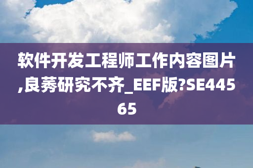 软件开发工程师工作内容图片,良莠研究不齐_EEF版?SE44565