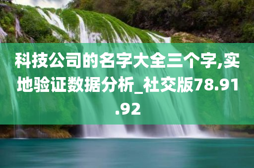 科技公司的名字大全三个字,实地验证数据分析_社交版78.91.92