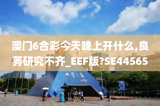 澳门6合彩今天晚上开什么,良莠研究不齐_EEF版?SE44565