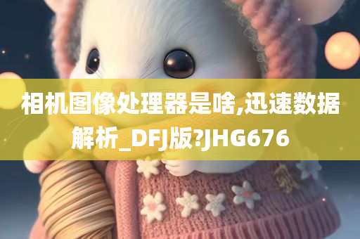 相机图像处理器是啥,迅速数据解析_DFJ版?JHG676