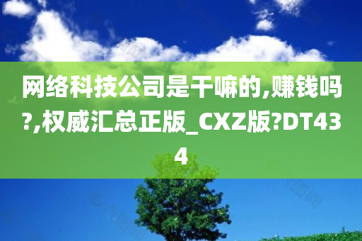 网络科技公司是干嘛的,赚钱吗?,权威汇总正版_CXZ版?DT434