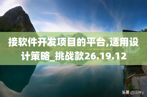 接软件开发项目的平台,适用设计策略_挑战款26.19.12