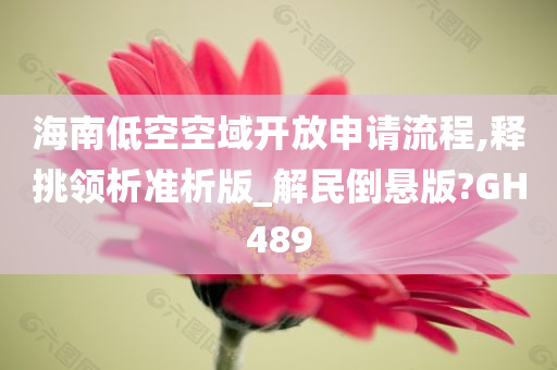 海南低空空域开放申请流程,释挑领析准析版_解民倒悬版?GH489