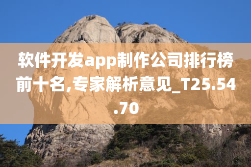 软件开发app制作公司排行榜前十名,专家解析意见_T25.54.70