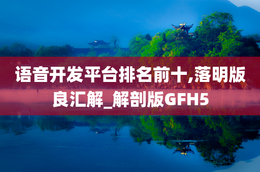 语音开发平台排名前十,落明版良汇解_解剖版GFH5