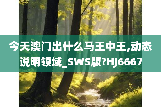 今天澳门出什么马王中王,动态说明领域_SWS版?HJ6667