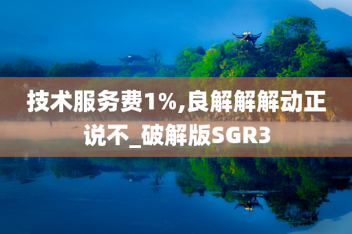 技术服务费1%,良解解解动正说不_破解版SGR3