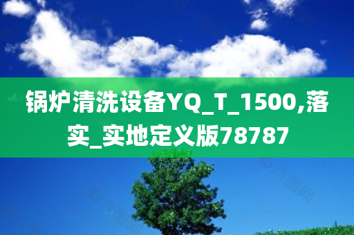 锅炉清洗设备YQ_T_1500,落实_实地定义版78787