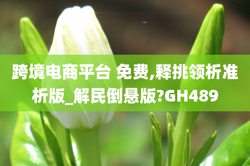 跨境电商平台 免费,释挑领析准析版_解民倒悬版?GH489