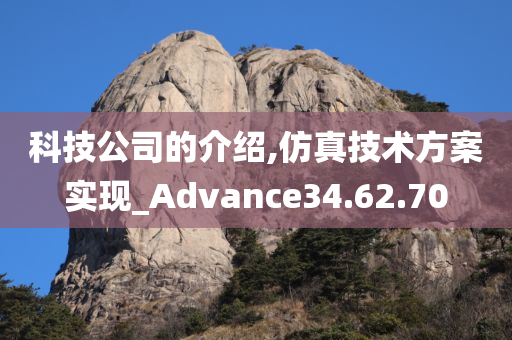 科技公司的介绍,仿真技术方案实现_Advance34.62.70