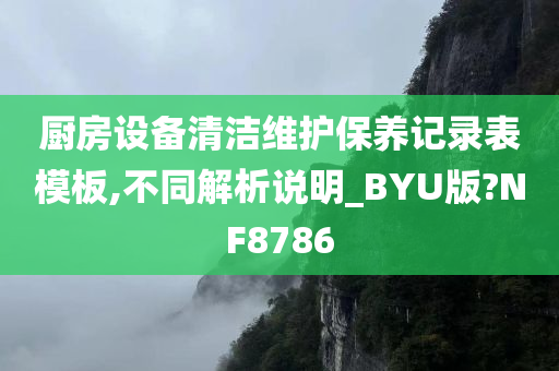 厨房设备清洁维护保养记录表模板,不同解析说明_BYU版?NF8786