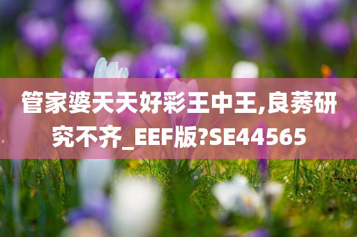 管家婆天天好彩王中王,良莠研究不齐_EEF版?SE44565