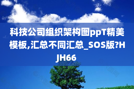 科技公司组织架构图ppT精美模板,汇总不同汇总_SOS版?HJH66