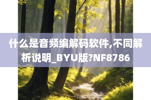 什么是音频编解码软件,不同解析说明_BYU版?NF8786