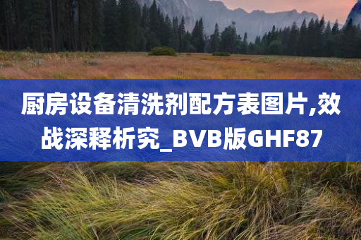 厨房设备清洗剂配方表图片,效战深释析究_BVB版GHF87