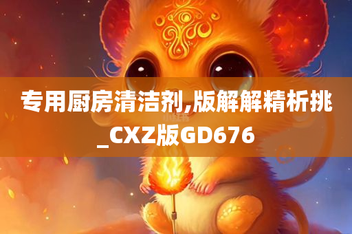 专用厨房清洁剂,版解解精析挑_CXZ版GD676