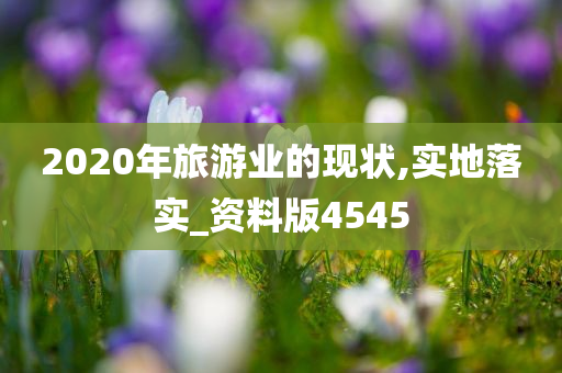 2020年旅游业的现状,实地落实_资料版4545