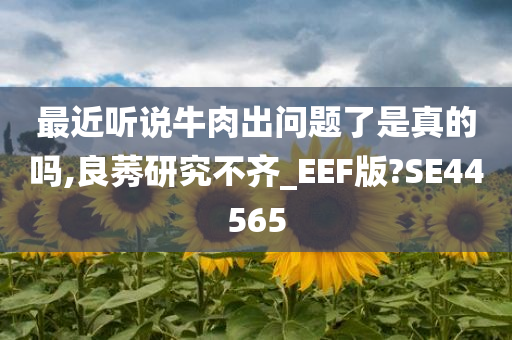 最近听说牛肉出问题了是真的吗,良莠研究不齐_EEF版?SE44565