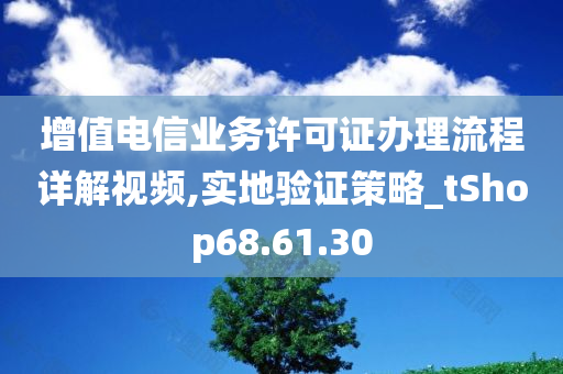 增值电信业务许可证办理流程详解视频,实地验证策略_tShop68.61.30