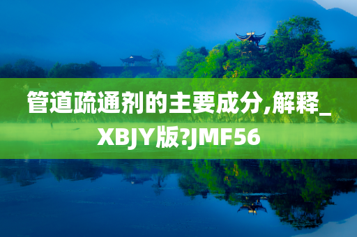 管道疏通剂的主要成分,解释_XBJY版?JMF56