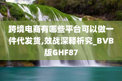 跨境电商有哪些平台可以做一件代发货,效战深释析究_BVB版GHF87