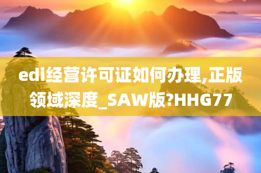 edi经营许可证如何办理,正版领域深度_SAW版?HHG77