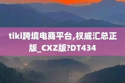 tiki跨境电商平台,权威汇总正版_CXZ版?DT434