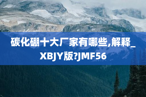 碳化硼十大厂家有哪些,解释_XBJY版?JMF56