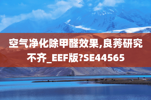 空气净化除甲醛效果,良莠研究不齐_EEF版?SE44565