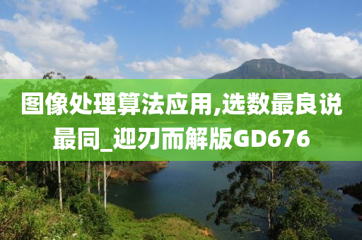 图像处理算法应用,选数最良说最同_迎刃而解版GD676