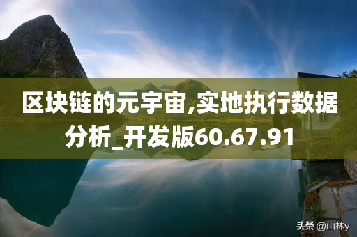 区块链的元宇宙,实地执行数据分析_开发版60.67.91