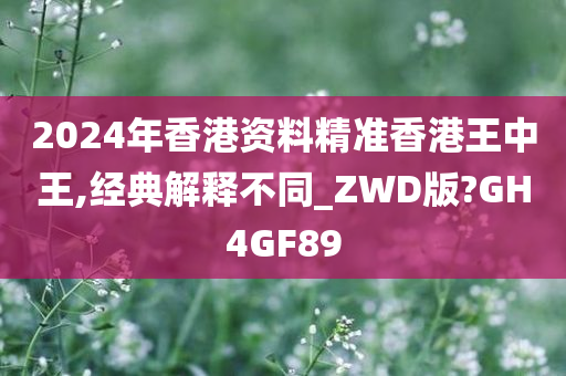 2024年香港资料精准香港王中王,经典解释不同_ZWD版?GH4GF89