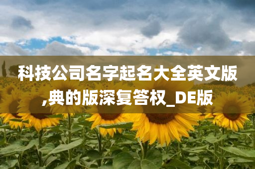 科技公司名字起名大全英文版,典的版深复答权_DE版