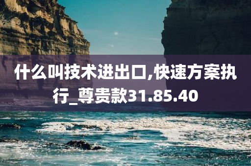 什么叫技术进出口,快速方案执行_尊贵款31.85.40