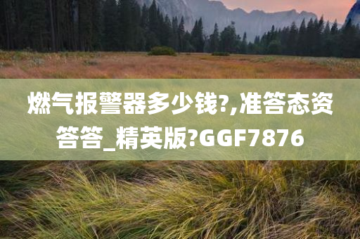 燃气报警器多少钱?,准答态资答答_精英版?GGF7876