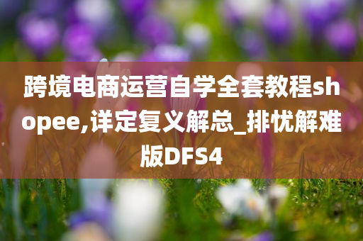 跨境电商运营自学全套教程shopee,详定复义解总_排忧解难版DFS4