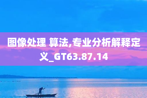 图像处理 算法,专业分析解释定义_GT63.87.14